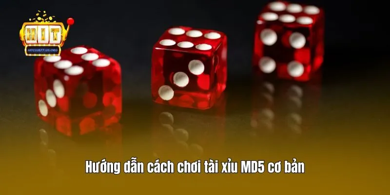 Hướng dẫn cách chơi tài xỉu MD5 cơ bản